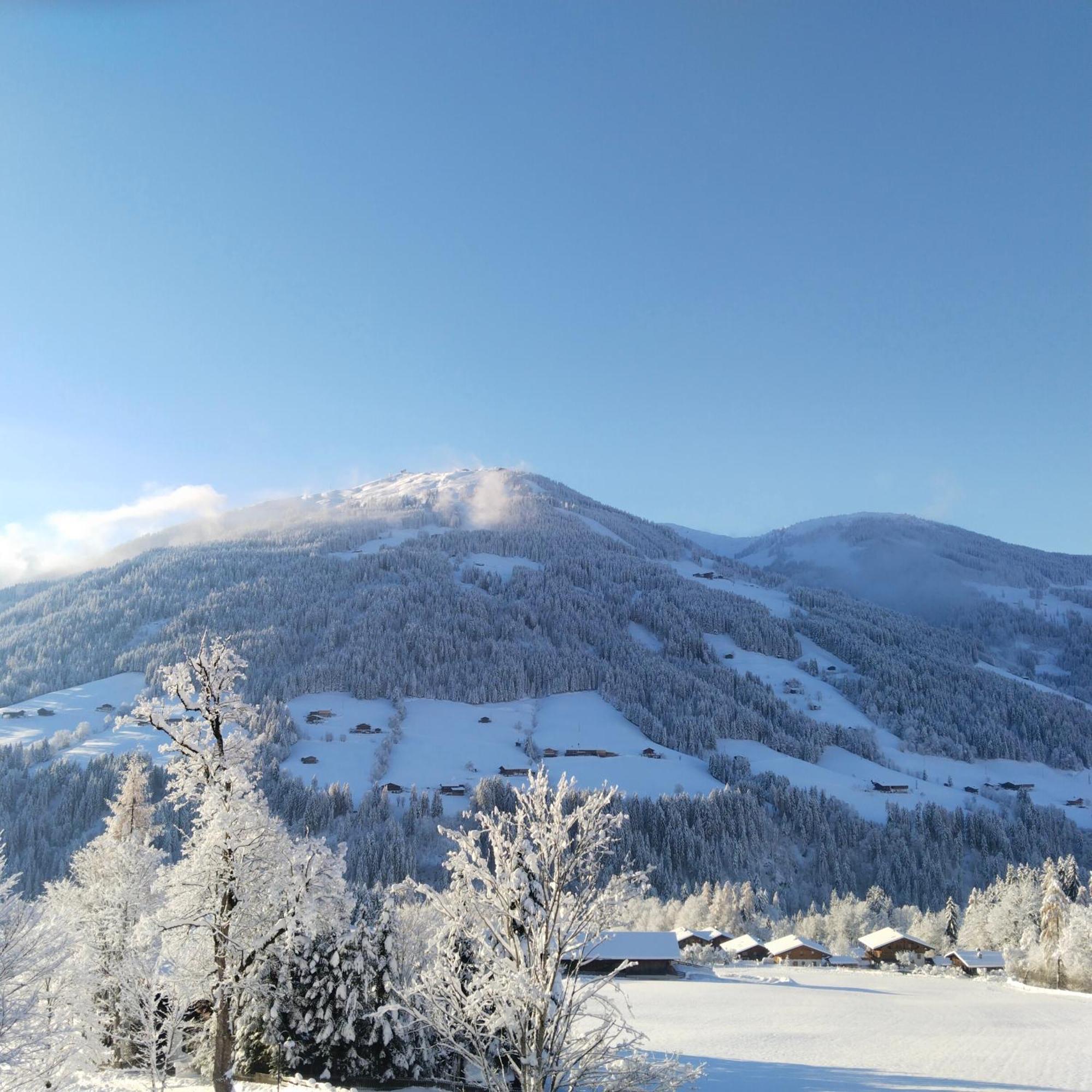Alpbachblick Apartment ภายนอก รูปภาพ