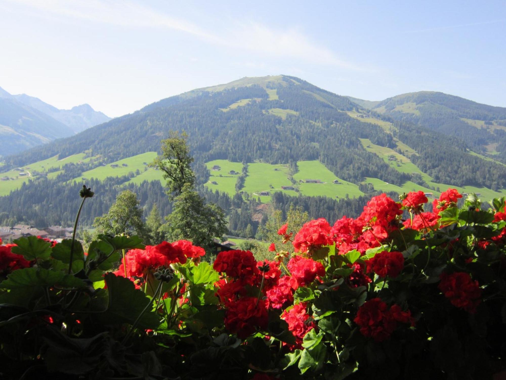 Alpbachblick Apartment ภายนอก รูปภาพ