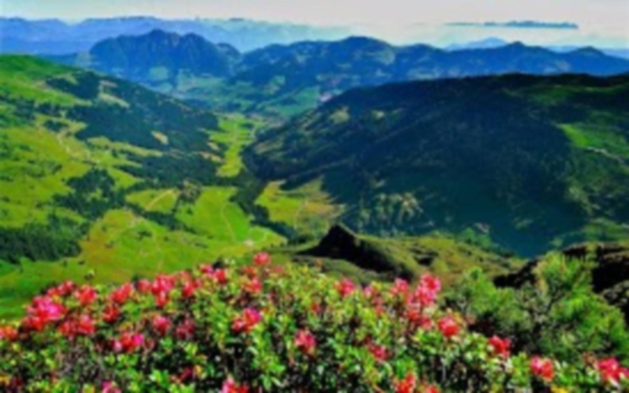 Alpbachblick Apartment ภายนอก รูปภาพ